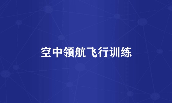 空中领航飞行训练