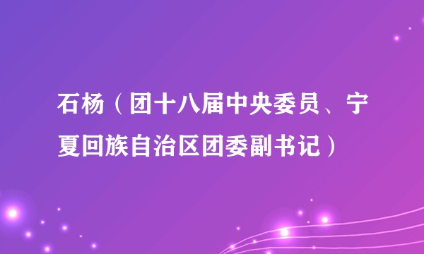 石杨（团十八届中央委员、宁夏回族自治区团委副书记）