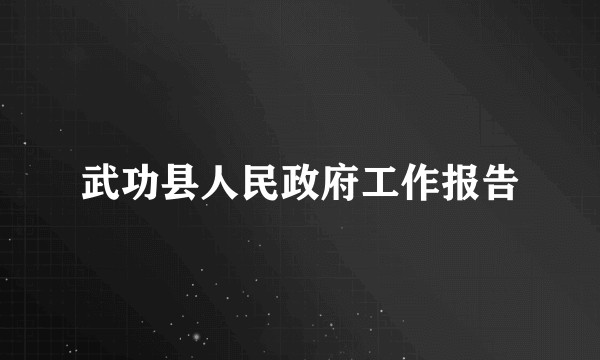 武功县人民政府工作报告