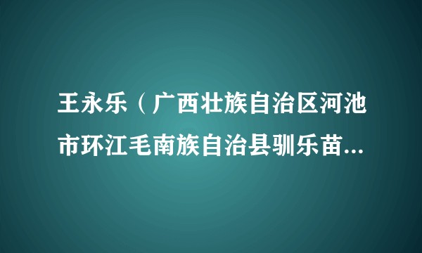 王永乐（广西壮族自治区河池市环江毛南族自治县驯乐苗族乡人民政府副乡长）