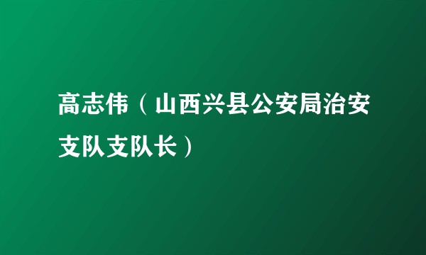 高志伟（山西兴县公安局治安支队支队长）
