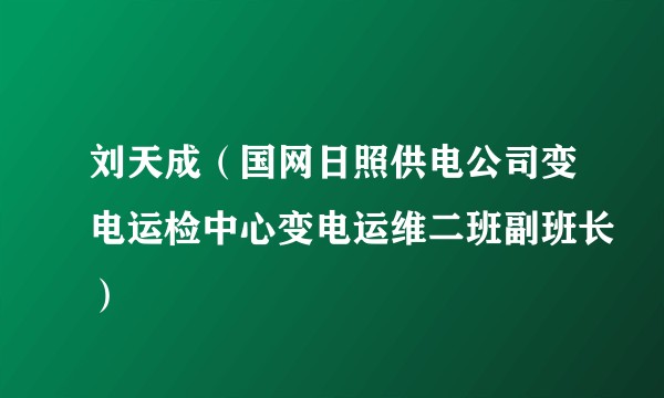 刘天成（国网日照供电公司变电运检中心变电运维二班副班长）