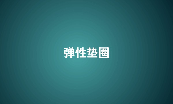 弹性垫圈