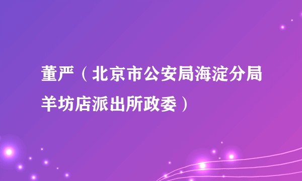 董严（北京市公安局海淀分局羊坊店派出所政委）