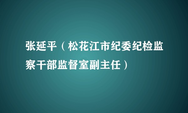 张延平（松花江市纪委纪检监察干部监督室副主任）