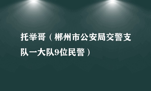 托举哥（郴州市公安局交警支队一大队9位民警）