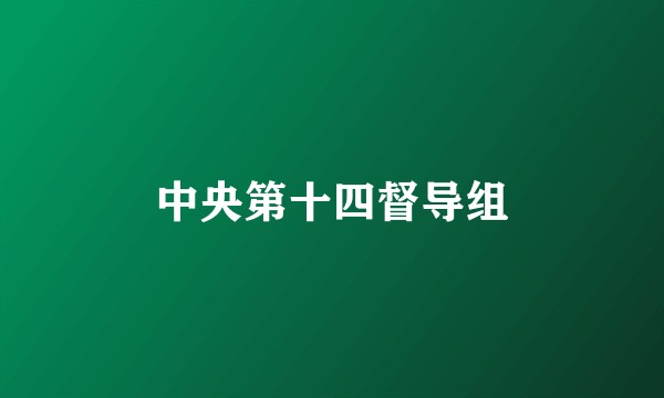 中央第十四督导组