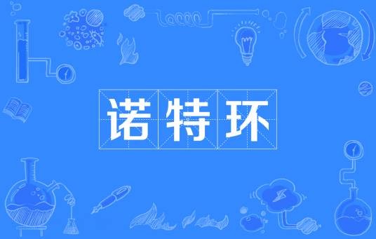诺特环