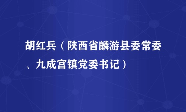 胡红兵（陕西省麟游县委常委、九成宫镇党委书记）