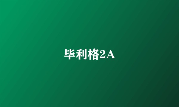 毕利格2A