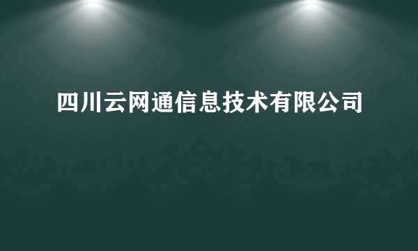 四川云网通信息技术有限公司