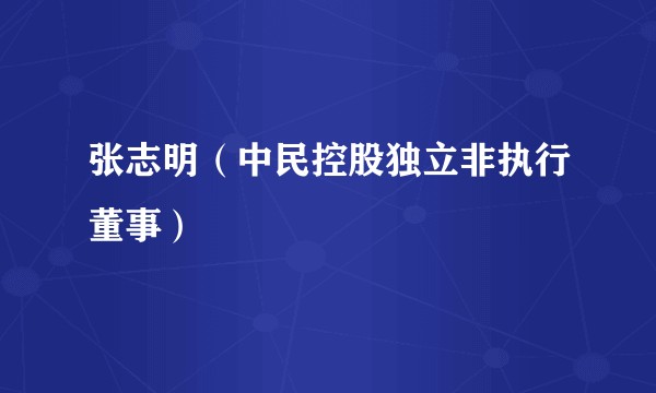 张志明（中民控股独立非执行董事）