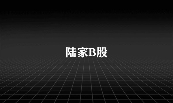 陆家B股