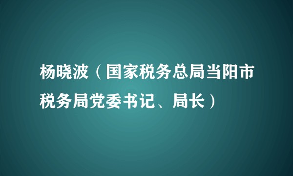 杨晓波（国家税务总局当阳市税务局党委书记、局长）