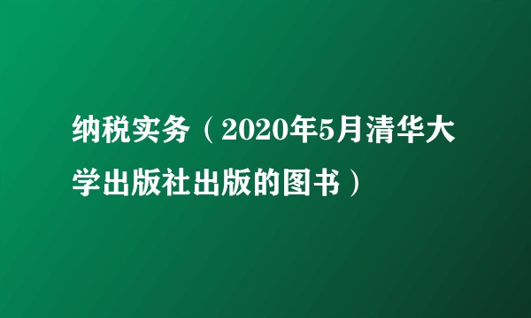 纳税实务（2020年5月清华大学出版社出版的图书）