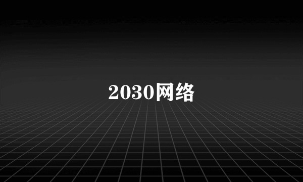 2030网络