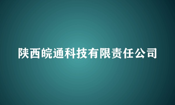 陕西皖通科技有限责任公司