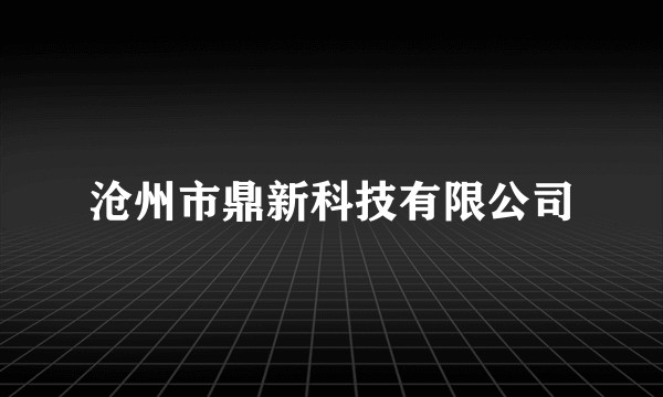沧州市鼎新科技有限公司