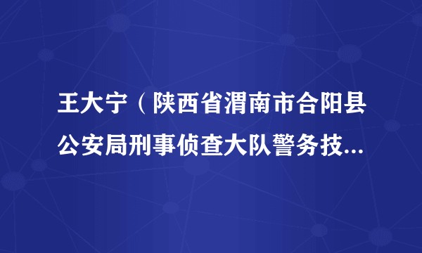 王大宁（陕西省渭南市合阳县公安局刑事侦查大队警务技术三级主管）