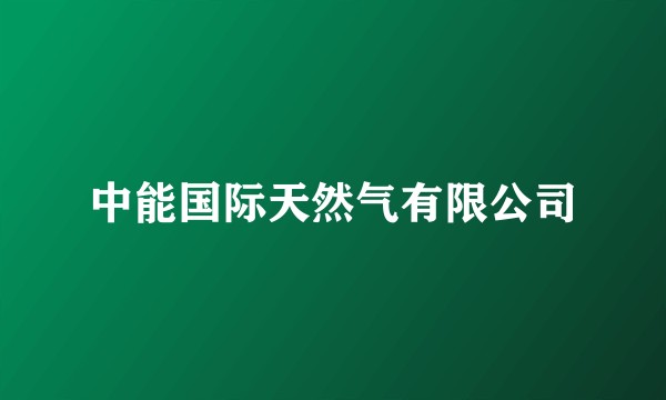 中能国际天然气有限公司