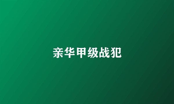 亲华甲级战犯