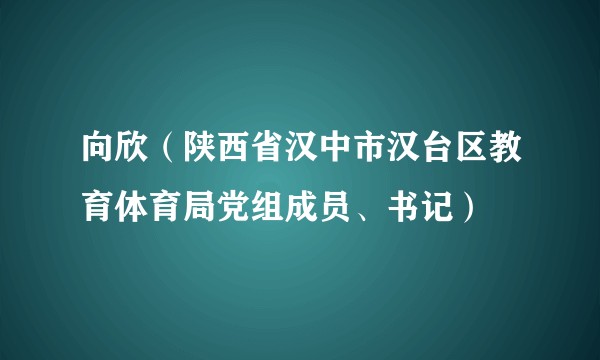 向欣（陕西省汉中市汉台区教育体育局党组成员、书记）