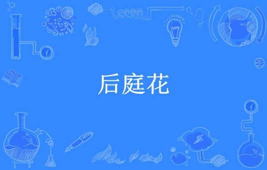后庭花（如烟所著小说）