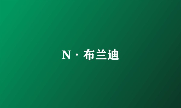 N·布兰迪