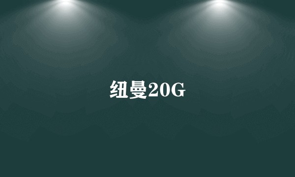 纽曼20G