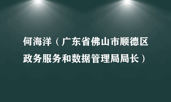 何海洋（广东省佛山市顺德区政务服务和数据管理局局长）