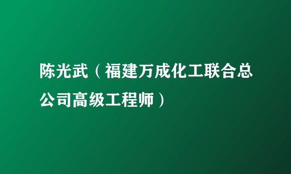 陈光武（福建万成化工联合总公司高级工程师）