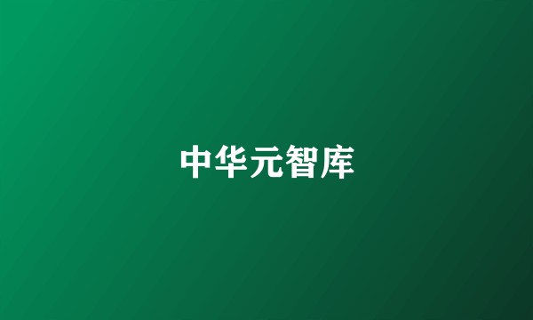 中华元智库