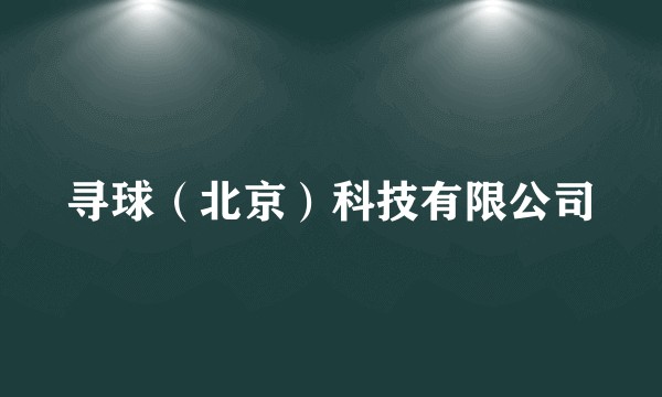 寻球（北京）科技有限公司