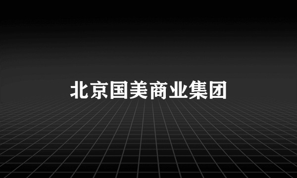 北京国美商业集团