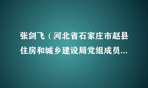 张剑飞（河北省石家庄市赵县住房和城乡建设局党组成员、一级主任科员）