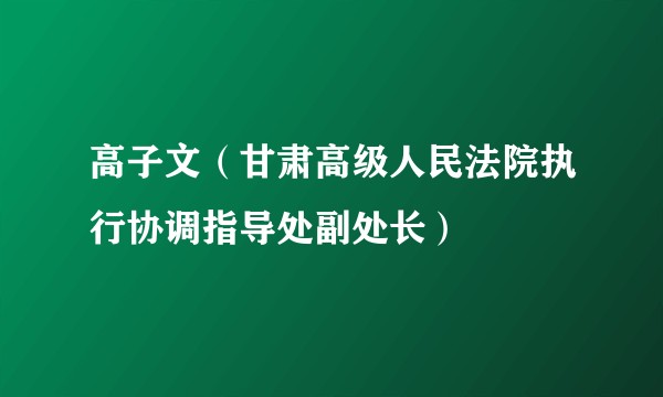 高子文（甘肃高级人民法院执行协调指导处副处长）