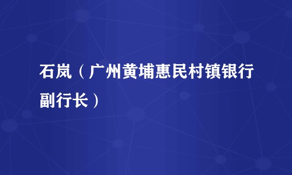 石岚（广州黄埔惠民村镇银行副行长）