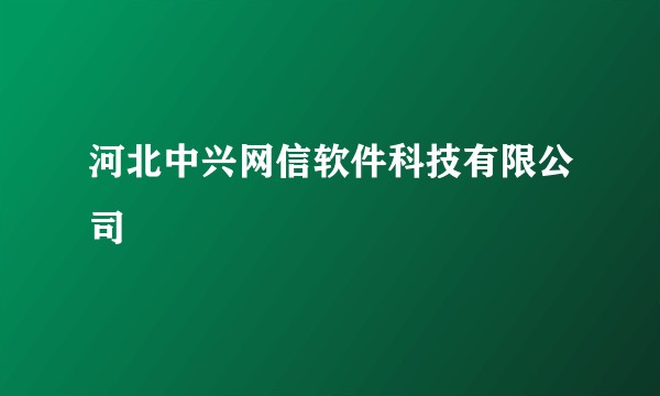 河北中兴网信软件科技有限公司