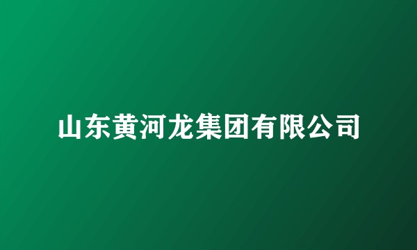 山东黄河龙集团有限公司