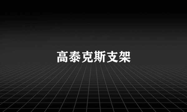高泰克斯支架