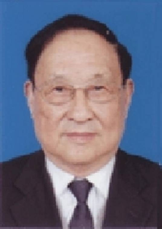 孙逊(北京中医药大学教授)