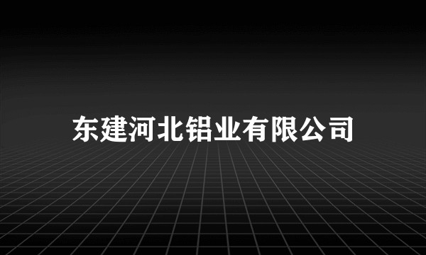东建河北铝业有限公司