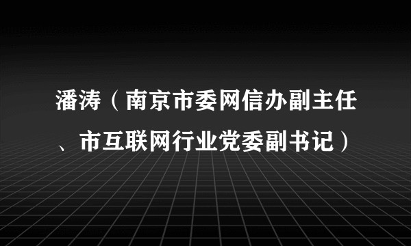 潘涛（南京市委网信办副主任、市互联网行业党委副书记）