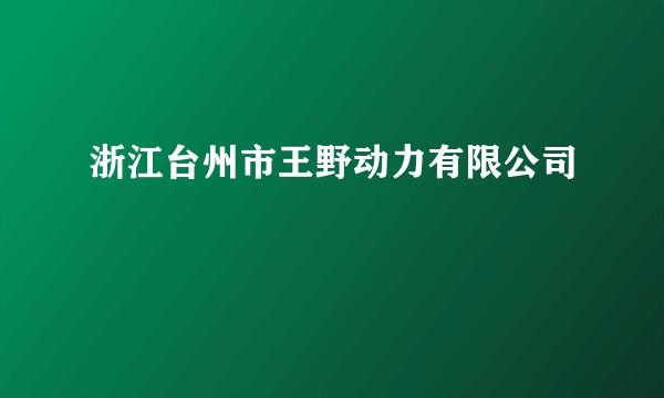 浙江台州市王野动力有限公司