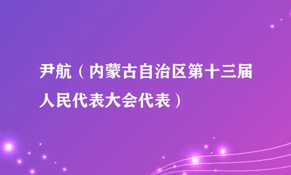 尹航（内蒙古自治区第十三届人民代表大会代表）