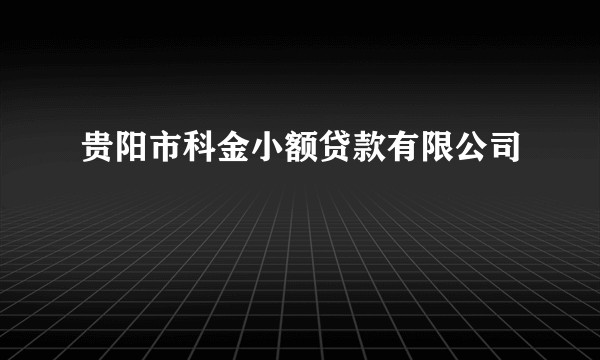 贵阳市科金小额贷款有限公司