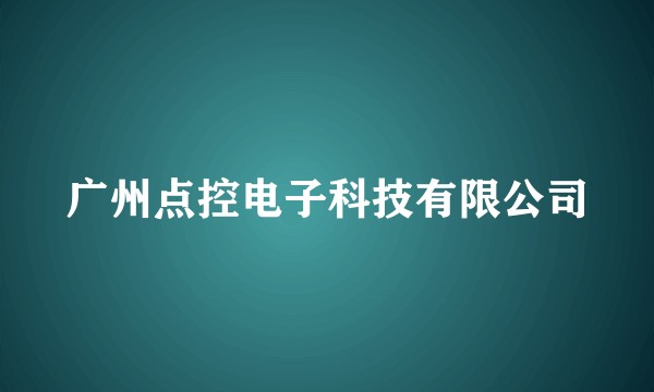 广州点控电子科技有限公司
