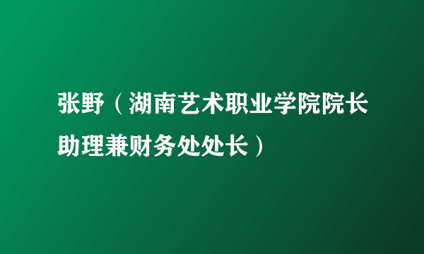 张野(湖南艺术职业学院院长助理兼财务处处长)