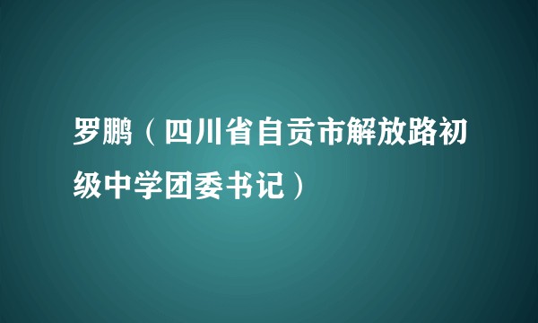 罗鹏（四川省自贡市解放路初级中学团委书记）