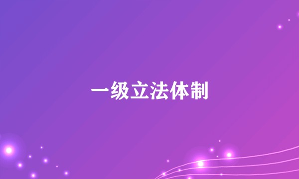 一级立法体制